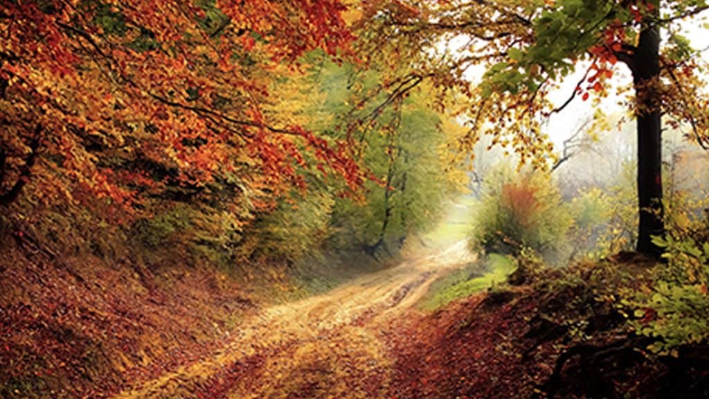 Wanderweg im Frankenwald