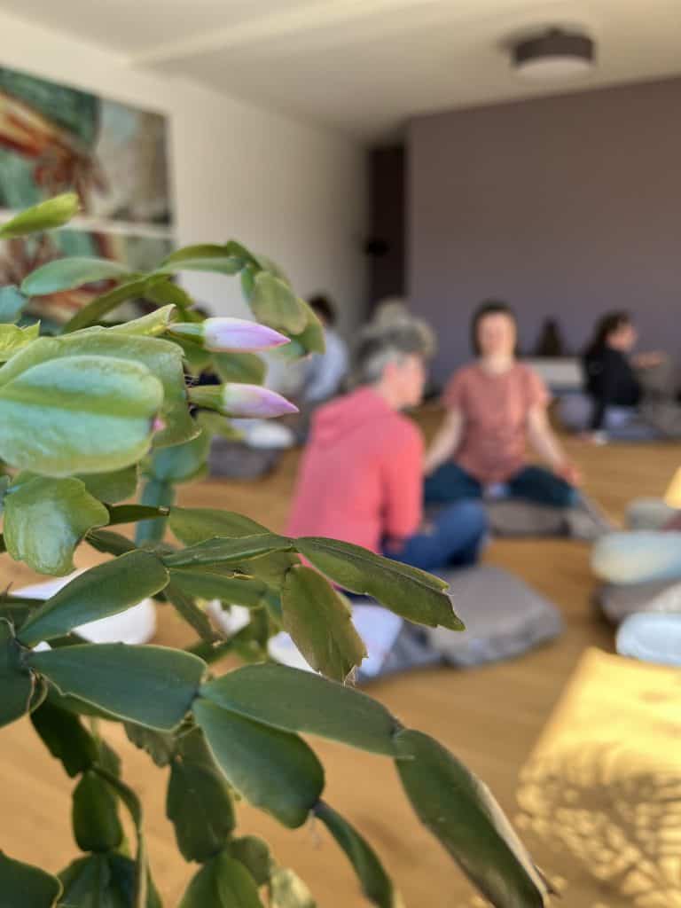 Zimmer und Ruhe im Unsereins