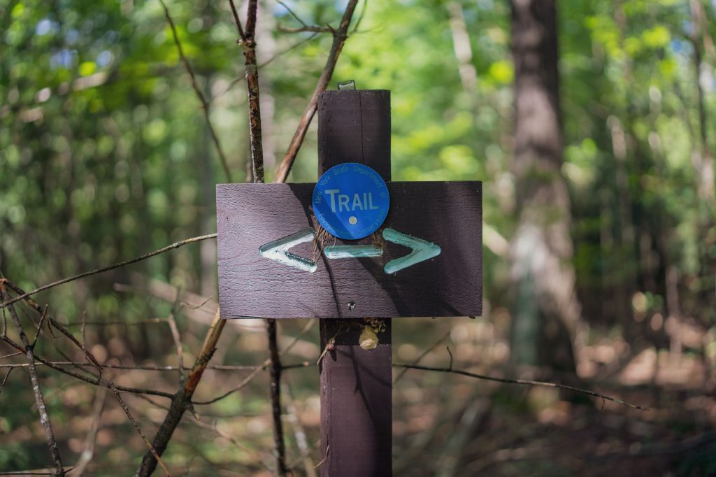 Wegweiser im Wald als Bild für den Rennsteig-Start